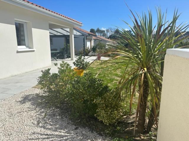 Belle Maison Malou Climatisee Calme, Piscine, Jacuzzi 3Km Plage Labenne Capbreton Экстерьер фото